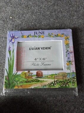 Lillian Vernon June Floral 4x6 Photo Frame - Purple and Yellow